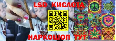 шишки Будённовск