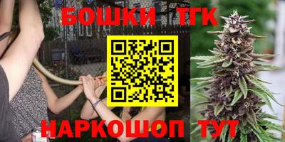 шишки Будённовск