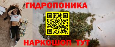 прущие грибы Бугуруслан