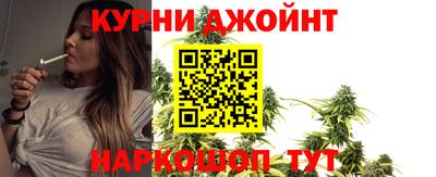 шишки Будённовск